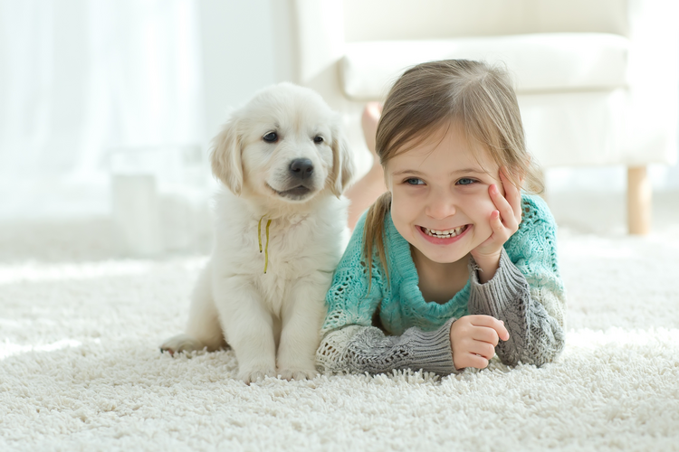 Niña y cachorro en una alfombra