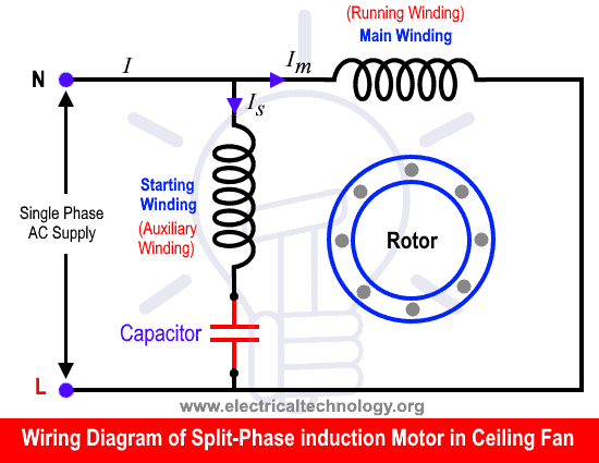 Diagrama de cableado del motor de inducción monofásico de fase dividida para ventilador de techo