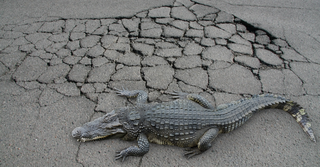 Grietas de cocodrilo en pavimento asfáltico: causas y remedios