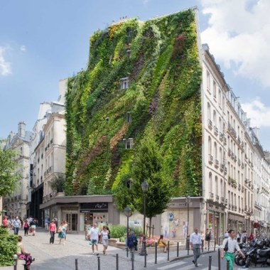 Aboukir Oasis, París: muro verde de 25 metros de altura