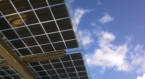 madera transparente para panel solar