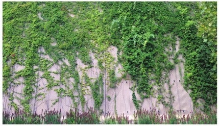 Muros verdes sostenidos por fachadas
