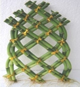 Forma estructural del bambú como material de construcción.