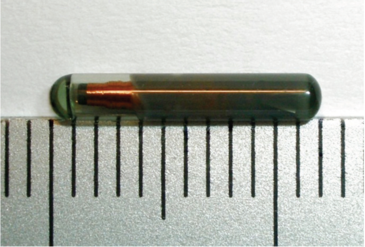 Transpondedor RFID Half Duplex Mini - EEWeb